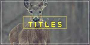 Minimal Transitions & Titles