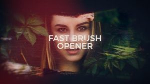 Fast Brush Opener