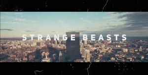 Strange Beasts // Dynamic Opener