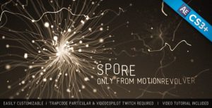 Spore