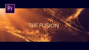 The Fusion