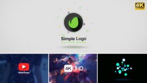 Simple Logo Reveal