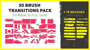 30 Brush Transitions Pack