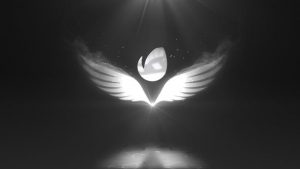 Angelic Logo Reveal