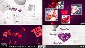 Valentine's Day Logo 3in1