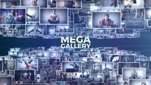 Mega Gallery