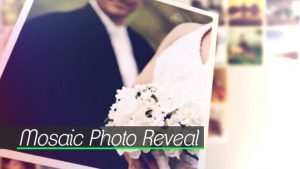 Mosaic Photo Reveal