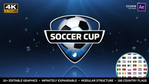 World Soccer Cup - International Soccer Package