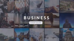 Business | Elegant Gallery