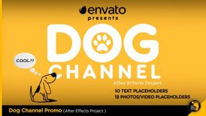 Dog Channel Broadcast Pack